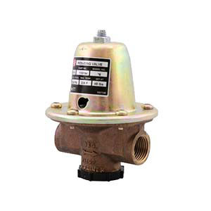 BG110194LF 1/2" REDUCING VALVE 45PSI #6