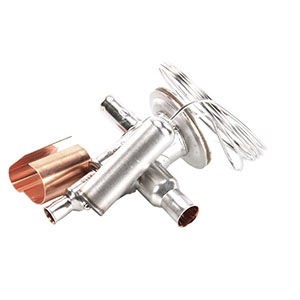 7600173 EXP VALVE (STK-PROG)