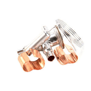 7600213 EXP VALVE