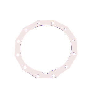 020-0054-00 GASKET
