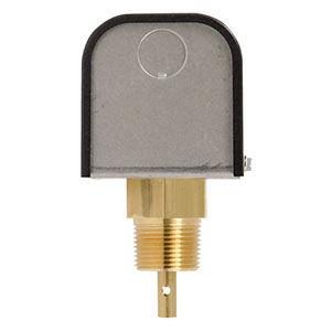 FS251 FLOW SWITCH 1" NPTM (120611)