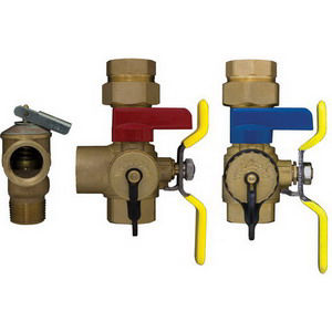 44443WPR 3/4" EXP-E2 TANKLESS WATER HEATER SERVICE VALVE KIT AND 3/4" 150" PRESSURE RELIEF VALVE