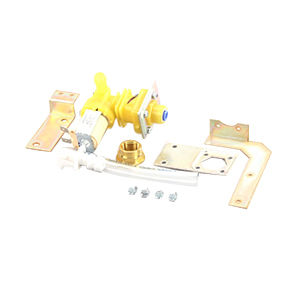 000009125 WATER INLET VALVE 115V (STK-PROG)