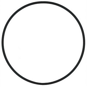 P48690 GASKET