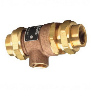 0061888 9DM2 3/4" BACKFLOW PREVENTER