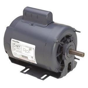 80020
